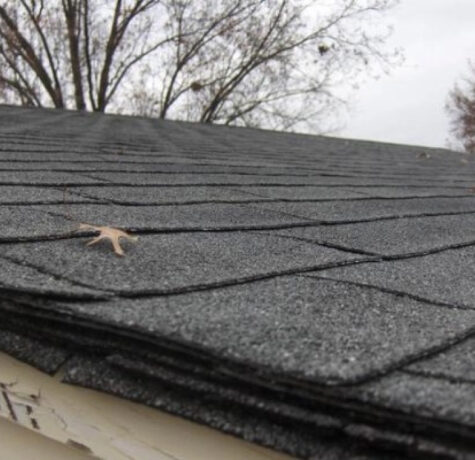 roofing layer