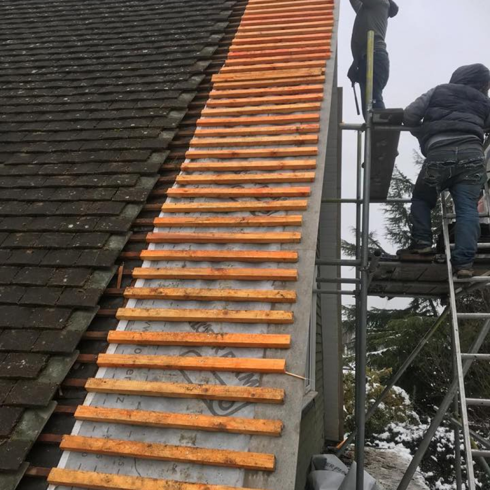 Moss Removal and Roof Cleaning London