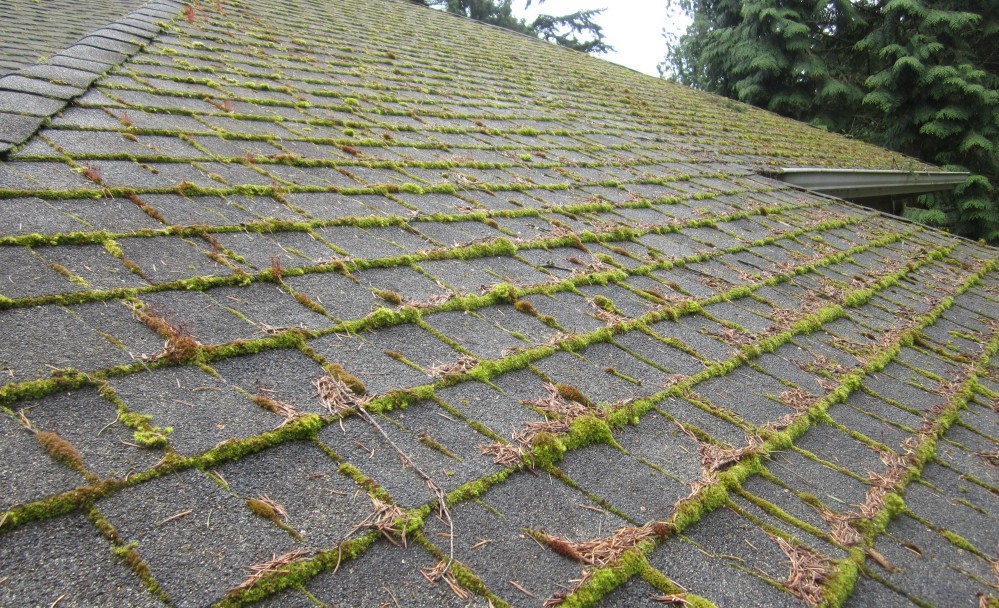 A tiled roof slope covered in established moss and debris before cleaning, roof moss removal by GMG Roof Experts across the London Borough of Hillingdon