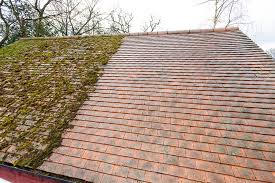 A plain-tile roof part cleaned of moss by GMG Roof Experts in Hillingdon