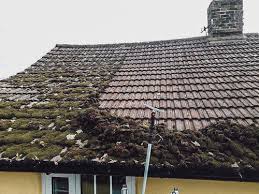 A mossy tiled roof with a chimney and a debris-filled gutter, cleared by GMG Roof Experts in the Hillingdon area