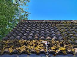 Heavy moss on a pantile roof against a blue sky, inspected by GMG Roof Experts in Hillingdon