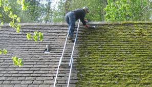 Moss being scraped off a slate roof slope by hand from a ladder, by GMG Roof Experts in Hillingdon